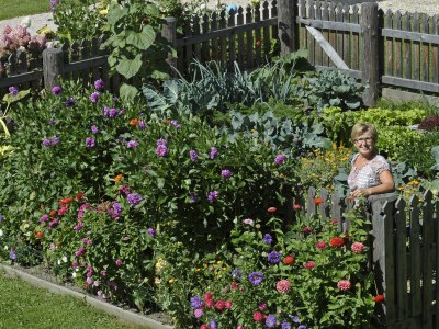 Apartment Haus Alfons - Apartment Arnika, 3 Schlafräume - Outdoor photo 28