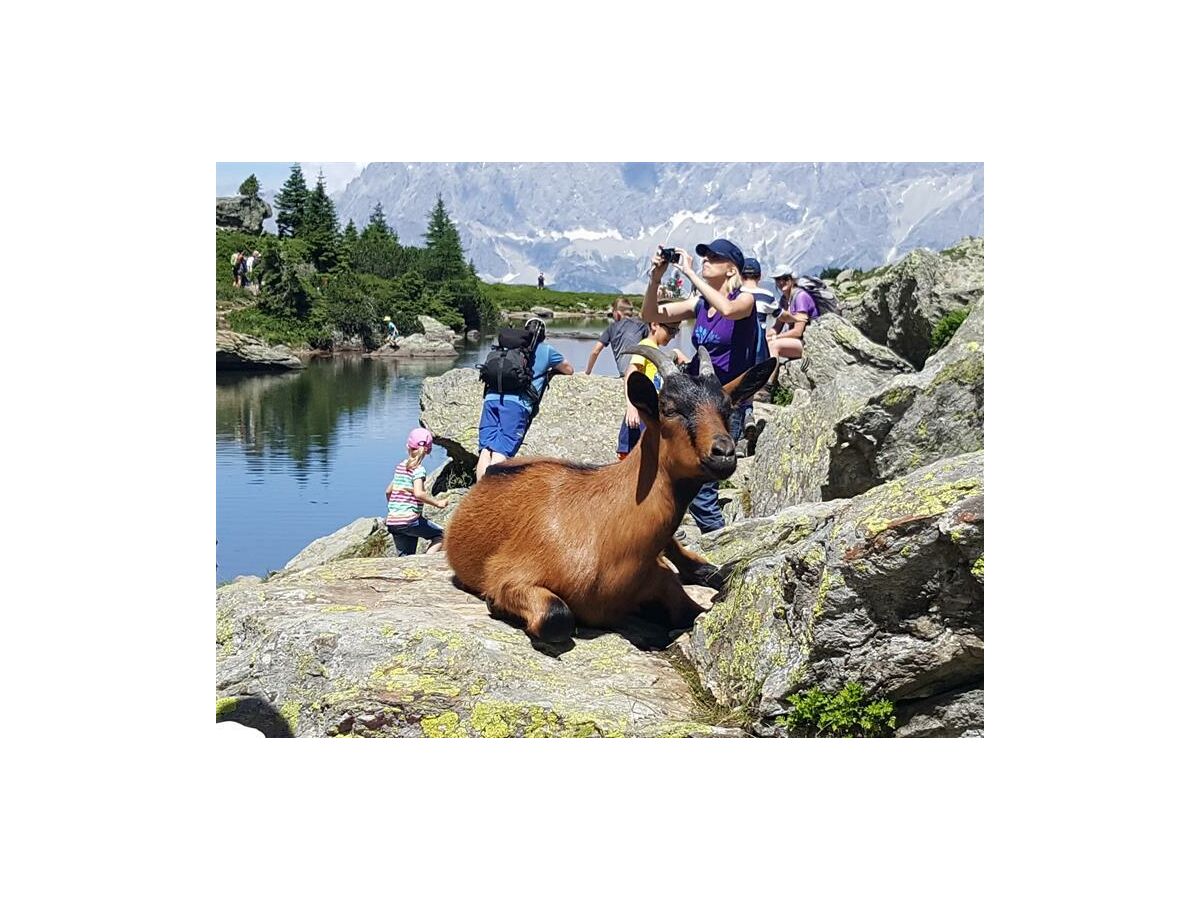 Apartment Appartement/Fewo, Toilette und Bad/Dusche getrennt - Outdoor photo 3