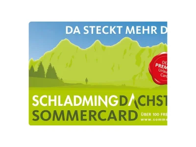 Apartment Appartement/Fewo, Toilette und Bad/Dusche getrennt in Schladming - Apartment