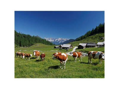 Apartment Appartement/Fewo, Toilette und Bad/Dusche getrennt - Outdoor photo 2