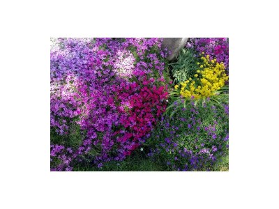 Apartment Appartement/Fewo, Toilette und Bad/Dusche getrennt - Outdoor photo 20