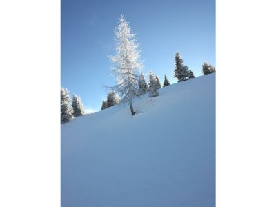 Apartment Appartement/Fewo, Toilette und Bad/Dusche getrennt - Outdoor photo 26