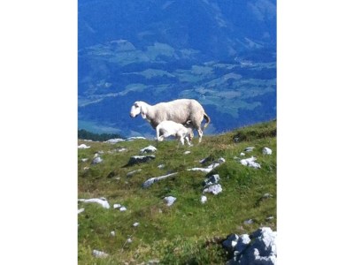 Apartment Appartement/Fewo, Toilette und Bad/Dusche getrennt - Outdoor photo 44