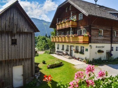 Apartment Apartment/1 Schlafraum/Bad, WC in Schladming - Apartment