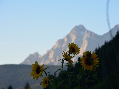Apartment Apartment, Dusche, Bad, WC, Balkon - Outdoor photo 6