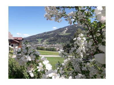 Apartment Appartement/2 Schlafr./Dusche, Bad, WC - Outdoor photo 15