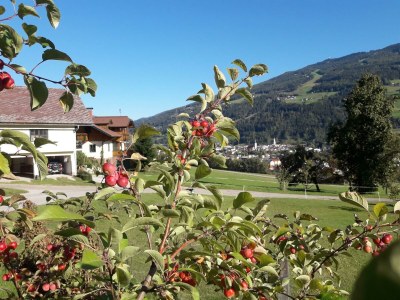 Apartment Appartement/2 Schlafr./Dusche, Bad, WC - Outdoor photo 16