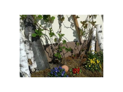 Apartment Appartement/2 Schlafr./Dusche, Bad, WC - Features photo 28