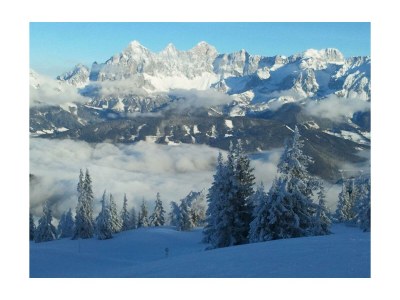 Apartment Ferienwohnung Sonnenschein oder Morgengruß - Outdoor photo 35