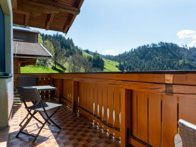 Apartment Ferienwohnung Sonnenschein oder Morgengruß - Features photo 49