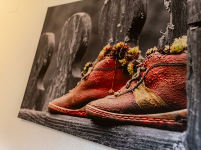 Apartment Ferienwohnung Sonnenschein oder Morgengruß - Features photo 54