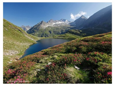 Apartment Komfortappartement/1 Schlafraum/Dusche/WC getrennt - Outdoor photo 7