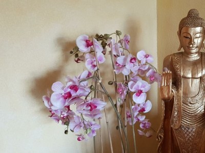 Apartment Apartment/3 Schlafräume/Dusche, WC - Outdoor photo 34