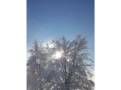 Apartment Apartment/3 Schlafräume/Dusche, WC - Outdoor photo 36