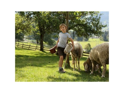 Apartment Rose, 1 Schlafraum /Dusche oder Bad/WC - Outdoor photo 8