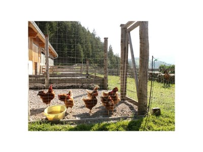 Apartment Rose, 1 Schlafraum /Dusche oder Bad/WC - Outdoor photo 12