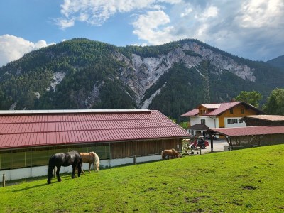 Apartment Rose, 1 Schlafraum /Dusche oder Bad/WC - Outdoor photo 14