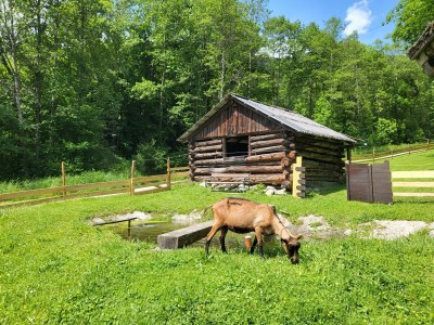 Apartment Rose, 1 Schlafraum /Dusche oder Bad/WC - Outdoor photo 16