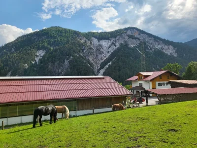Apartment Enzian, 2 Schlafräume/Bad, WC - Outdoor photo 14