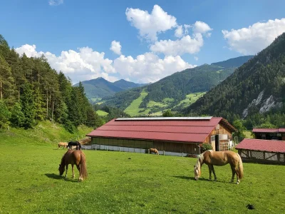 Apartment Enzian, 2 Schlafräume/Bad, WC - Outdoor photo 15