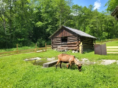 Apartment Enzian, 2 Schlafräume/Bad, WC - Outdoor photo 16