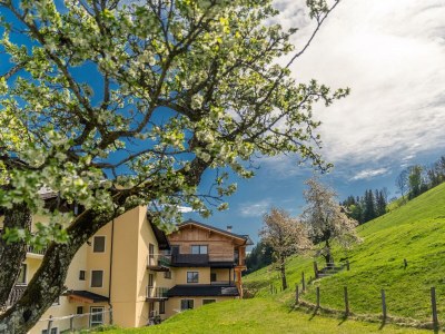 Apartment Appartement mit 2 Schlafzimmer - Outdoor photo 8