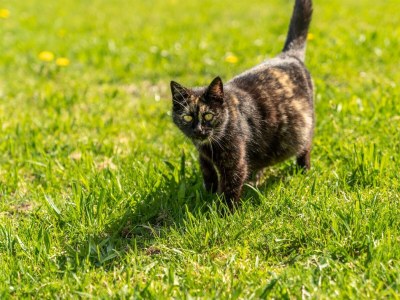 Apartment Appartement mit 2 Schlafzimmer - Outdoor photo 9