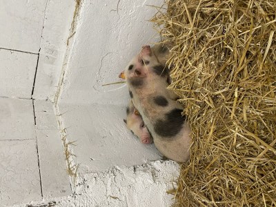 Apartment Appartement für 6-8 Personen - Outdoor photo 27