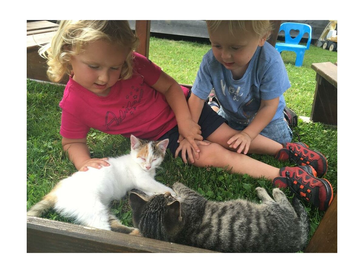 Apartment App. Hochwurzen - Outdoor photo 5