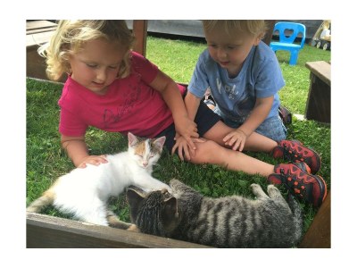 Apartment App. Hochwurzen - Outdoor photo 5