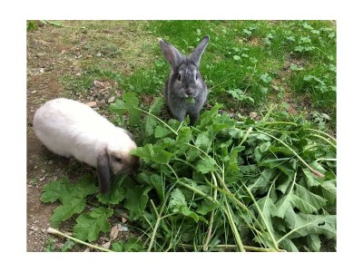 Apartment App. Hochwurzen - Outdoor photo 8