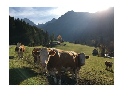 Apartment App. Hochwurzen - Outdoor photo 9