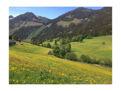 Apartment App. Hochwurzen - Outdoor photo 15