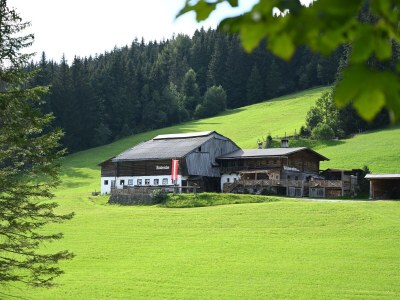 Apartment Hütte, Dusche, WC, 4 oder mehr Schlafräume - Outdoor photo 7