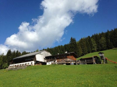 Apartment Hütte, Dusche, WC, 4 oder mehr Schlafräume - Features photo 16