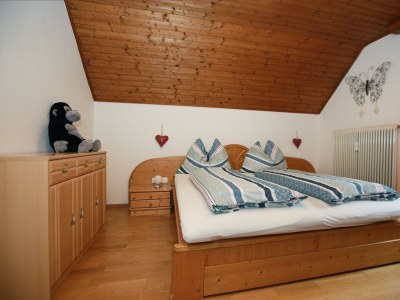 Apartment Apartment/2 Schlafräume/Dusche, WC - Features photo 10