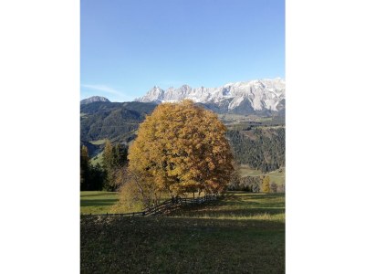 Apartment Apartment A/1 Schlafraum/Dusche, WC - Outdoor photo 7