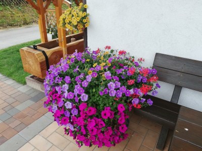 Apartment Apartment A/1 Schlafraum/Dusche, WC - Outdoor photo 12