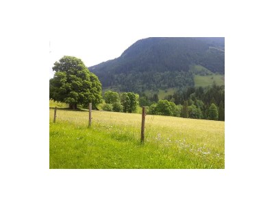 Apartment Appartement Frühling - Features photo 17