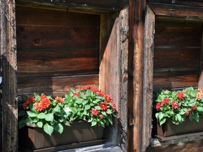 Holiday room Zimmer Hochwurzen - Outdoor photo 22