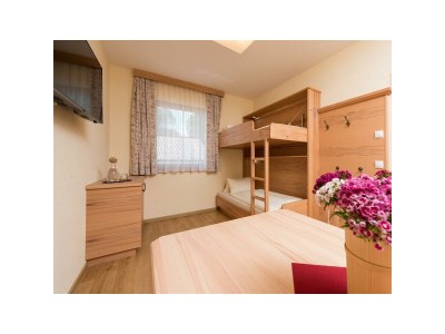 Holiday room Suite Dachstein - Features photo 39