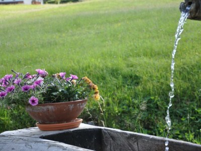 Apartment Appartement Ennstal - Outdoor photo 15