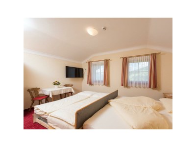 Apartment Appartement Ennstal - Features photo 40