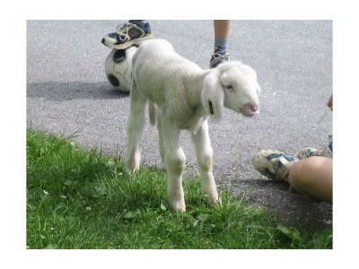 Apartment Appartement Hochwurzen - Outdoor photo 7