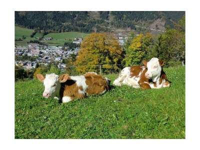 Apartment App. A2/2-Raum/40m²/DU, WC - Outdoor photo 18