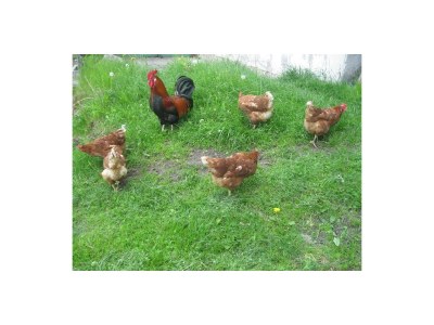 Apartment App. A2/2-Raum/40m²/DU, WC - Outdoor photo 19