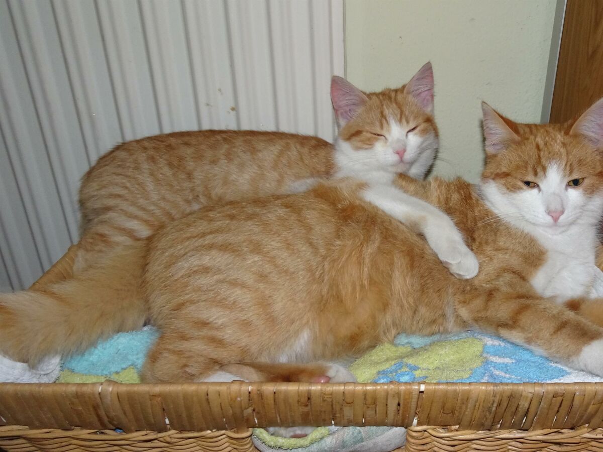 Apartment Apartment B / 2 Schlafräume/Bad, WC - Outdoor photo 2