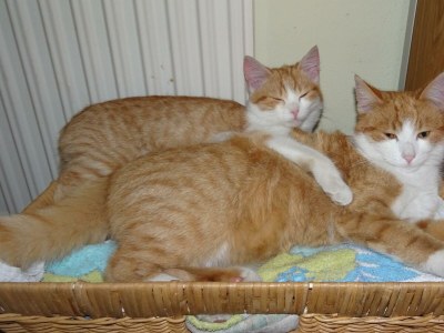 Apartment Apartment B / 2 Schlafräume/Bad, WC - Outdoor photo 2