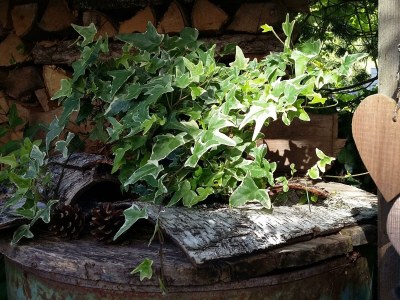 Apartment Apartment B / 2 Schlafräume/Bad, WC - Outdoor photo 8