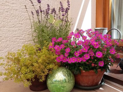 Apartment Apartment B / 2 Schlafräume/Bad, WC - Outdoor photo 9